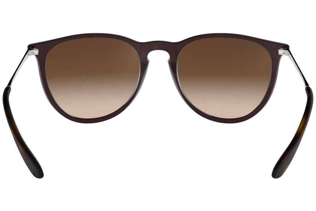 Ray-Ban Erika Classic RB4171 631513