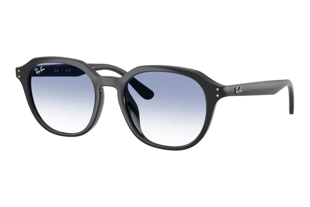 Ray-Ban RB4459D 623019